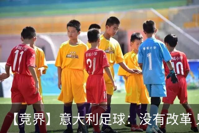 【竞界】意大利足球：没有改革 只有新的补锅匠